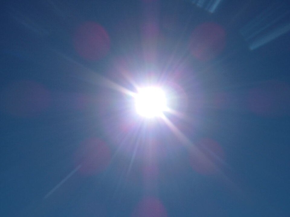 Europe Swelters Under Historic Heat as Death Toll Climbs