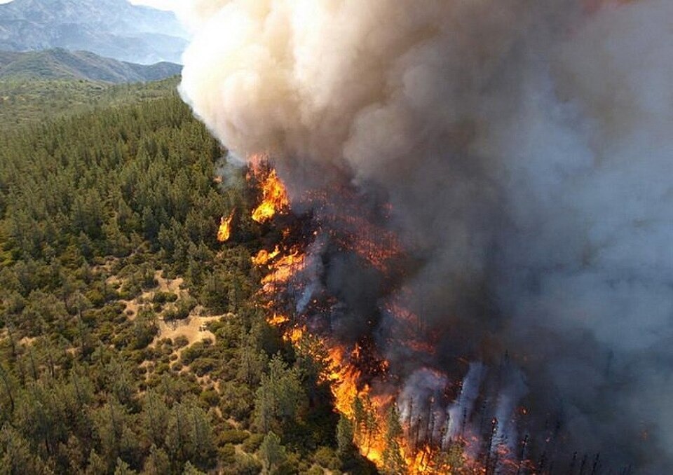France Battles Exceptional Wildfire Amid Heatwave and Travel Chaos