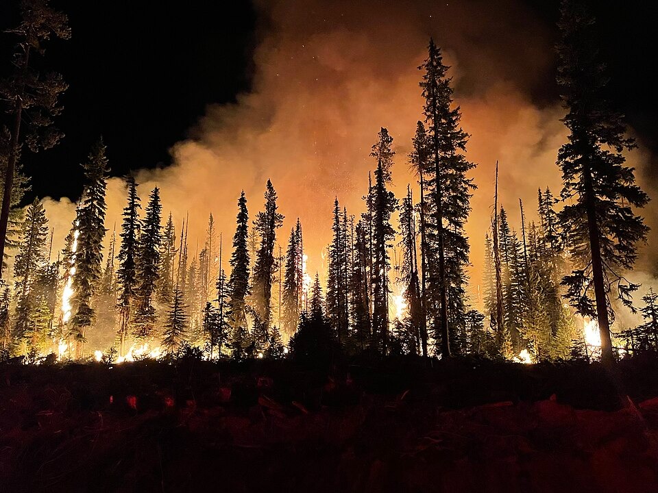 Massive Wildfires Force 65,000+ to Flee Across Spain and France