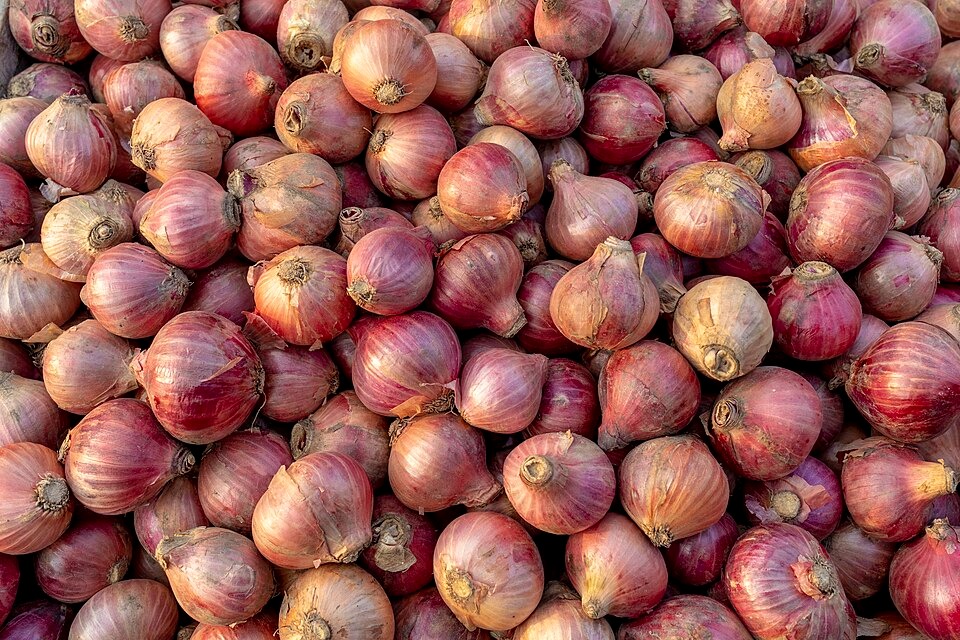Onion prices go up in India 