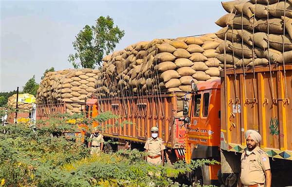 Paddy from other states smuggled into Punjab for higher MSP