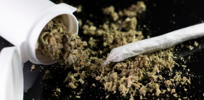 RCMP dismantle illegal cannabis operation near Merritt, 16 arrested