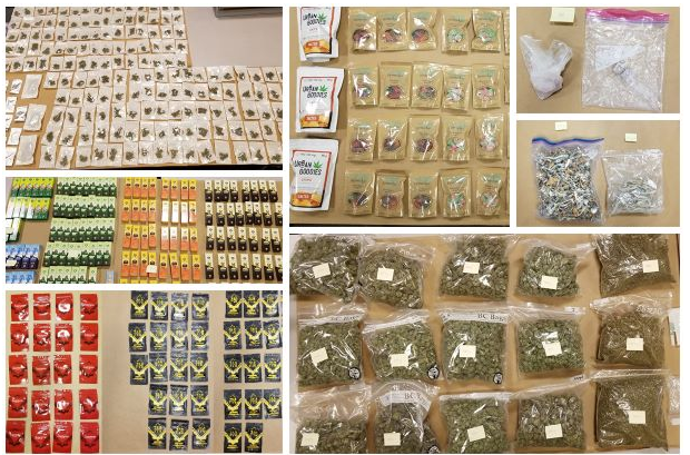 Surrey Drug Unit Busts Illegal Cannabis Operation