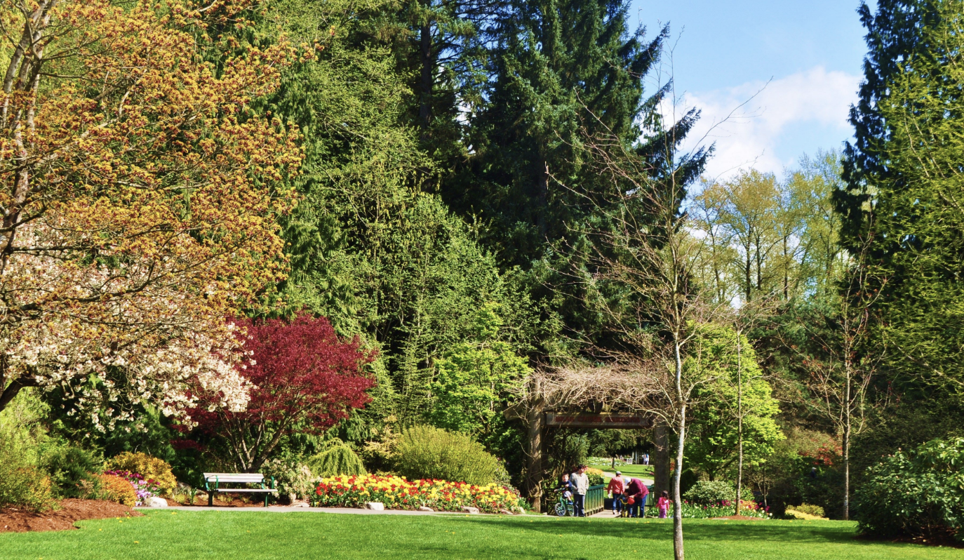Surrey approves road through Bear Creek Park