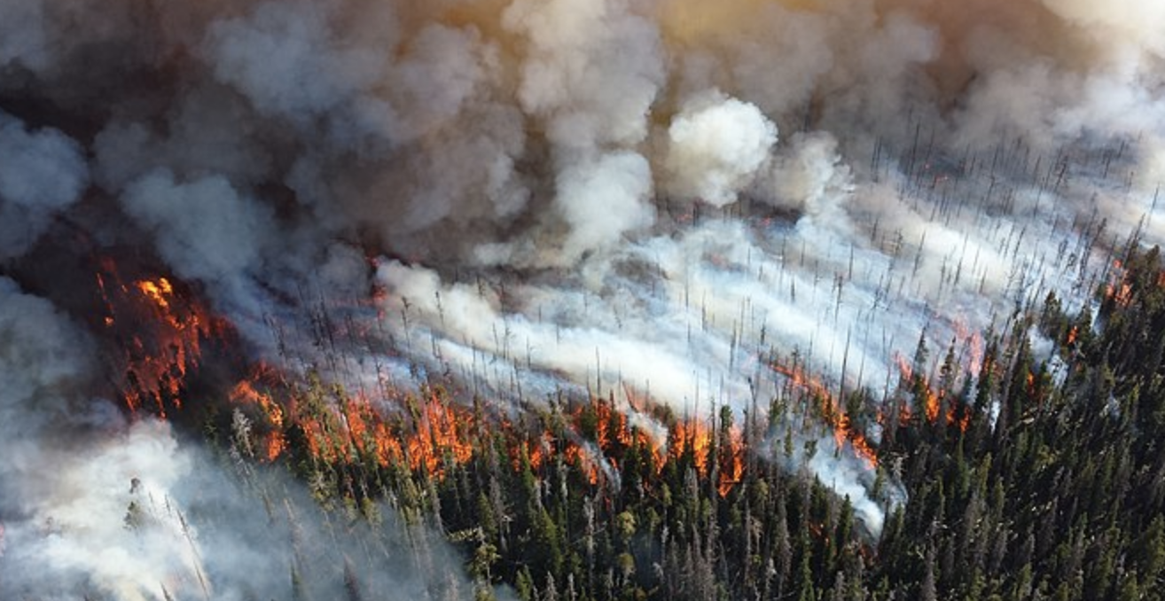 B.C. declares state of emergency as wildfires surge