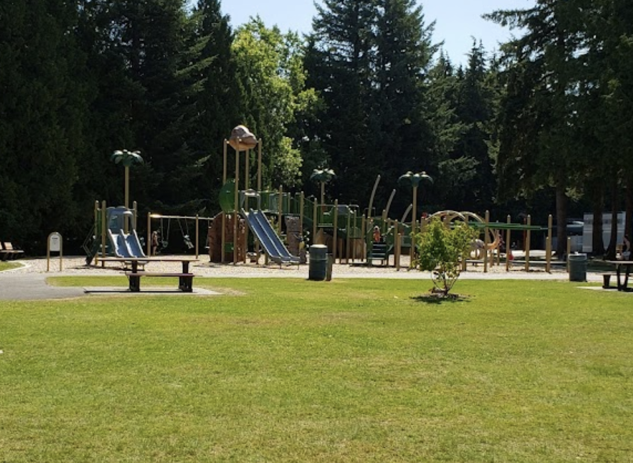 Man arrested after firing shots into air in Langley City Park