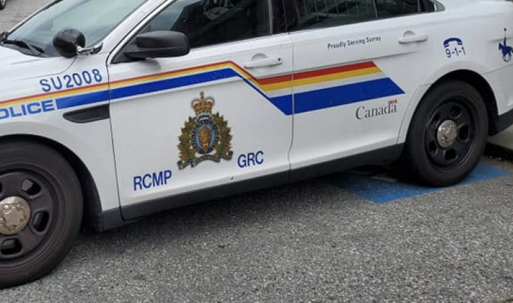 Pedestrian dies after collision with motor vehicle