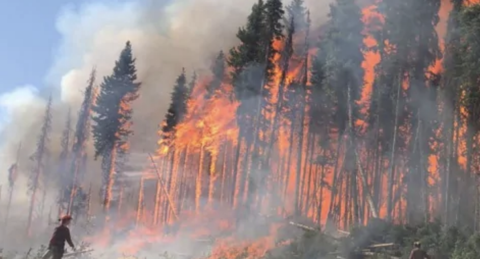 BC earmarked 2.1 billion dollars for climate response including wildfire prevention support and expands the wildfire service