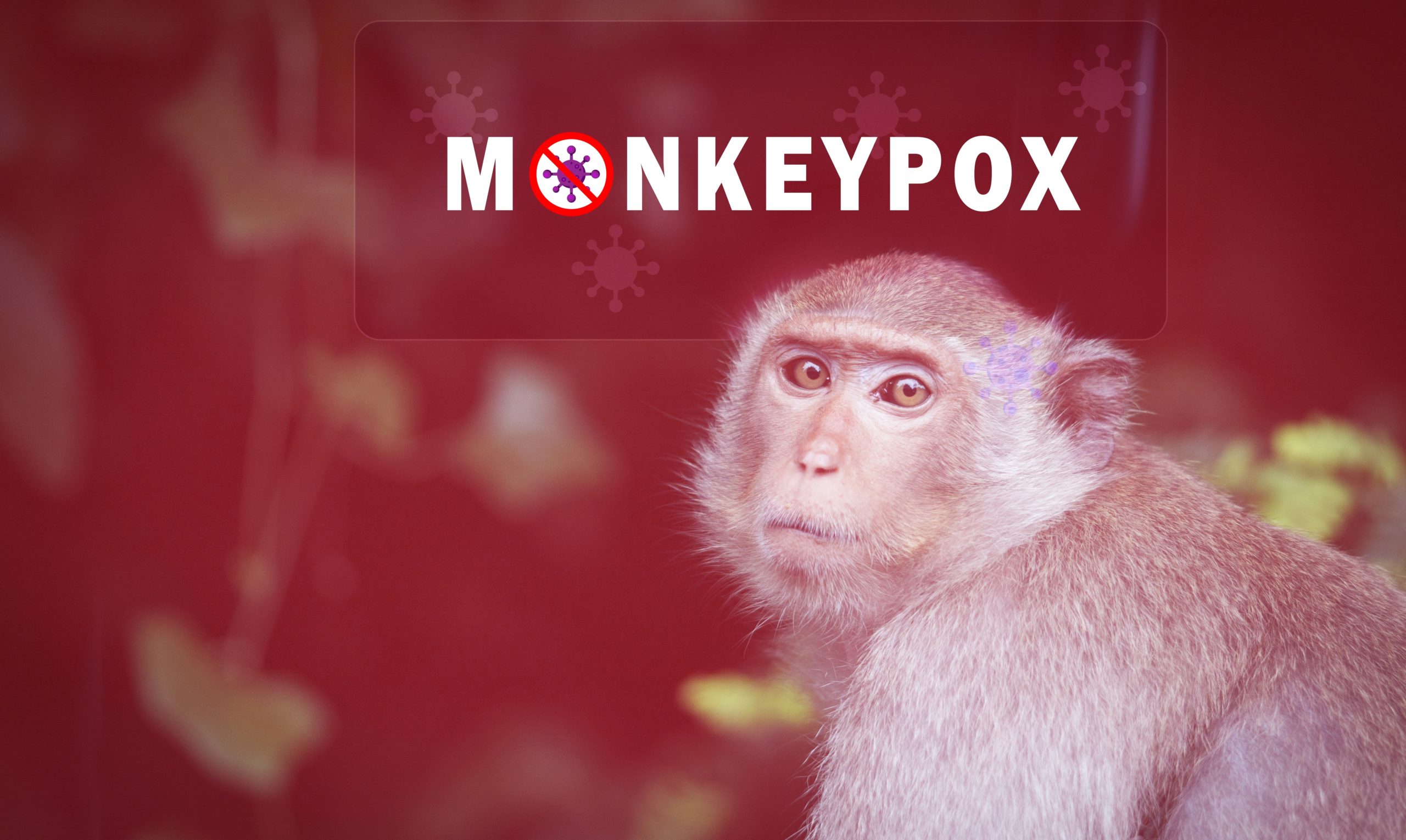 Montreal is the epicenter of Monkeypox in North America