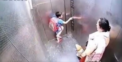 Pet dog bites minor boy inside lift, owner watches on; Booked