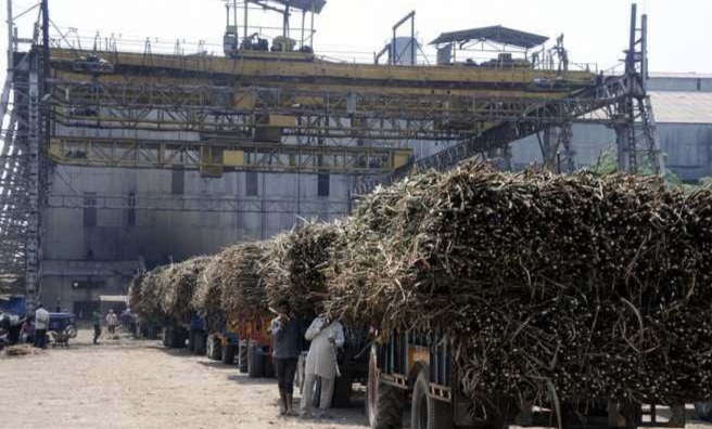Punjab government clears all the pending due of sugarcane cultivators