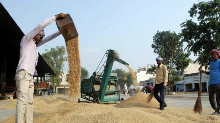 Government procurement of paddy begins in Punjab from today