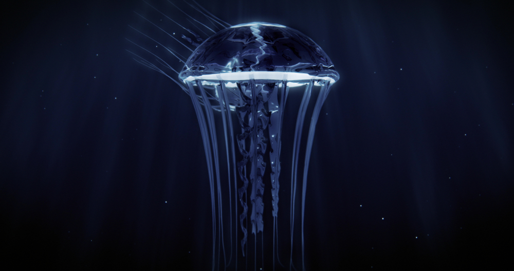 What is Irukandji Jellyfish?
