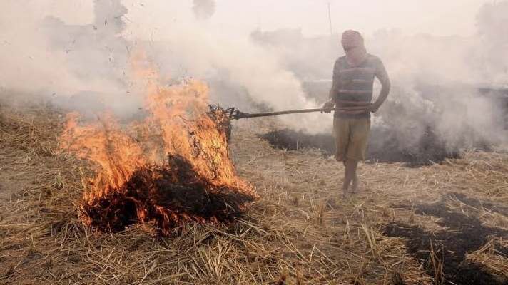 Farm fire incidents in Punjab break record of previous years