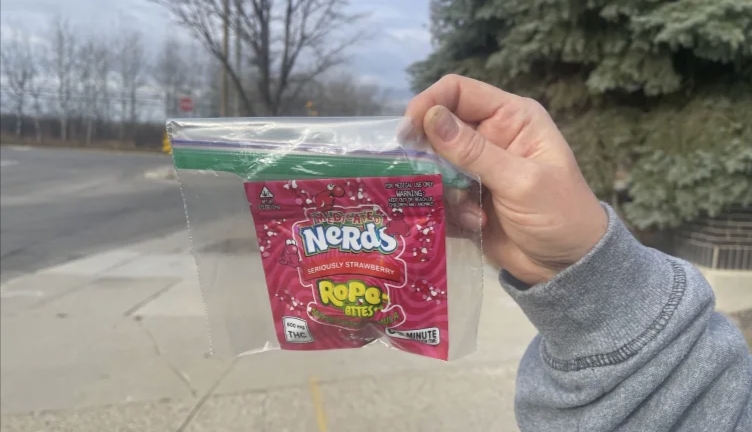 Winnipeg police arrest two for giving cannabis candies to children on Halloween