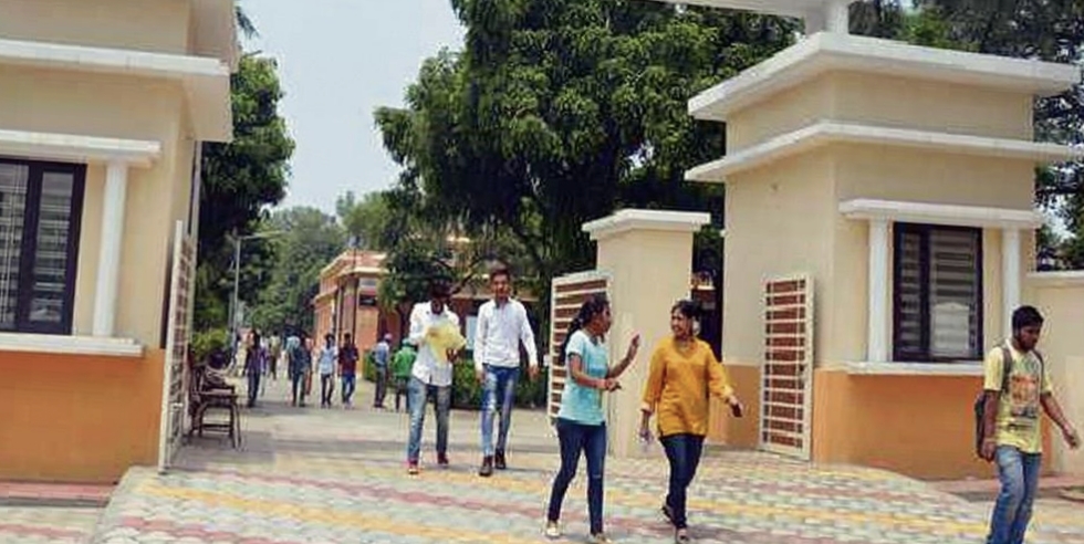 Craze for studying abroad, colleges in Punjab struggling with dwindling student strength