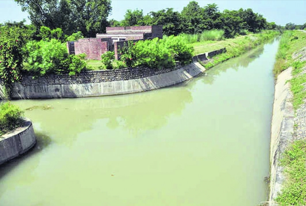 Free electricity: No utilization of canal water for irrigation in Punjab, farmers blame govt