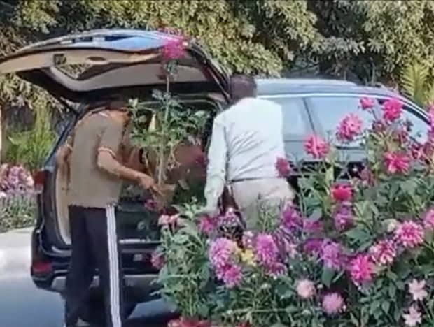 Caught on Camera: Gurugram man steals flower pots set up for G-20 summit, arrested