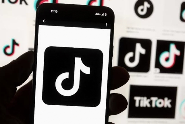Ontario bans TikTok from government devices