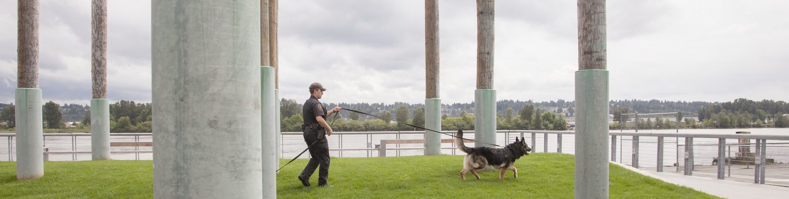 New Westminster police investigate stabbing in park