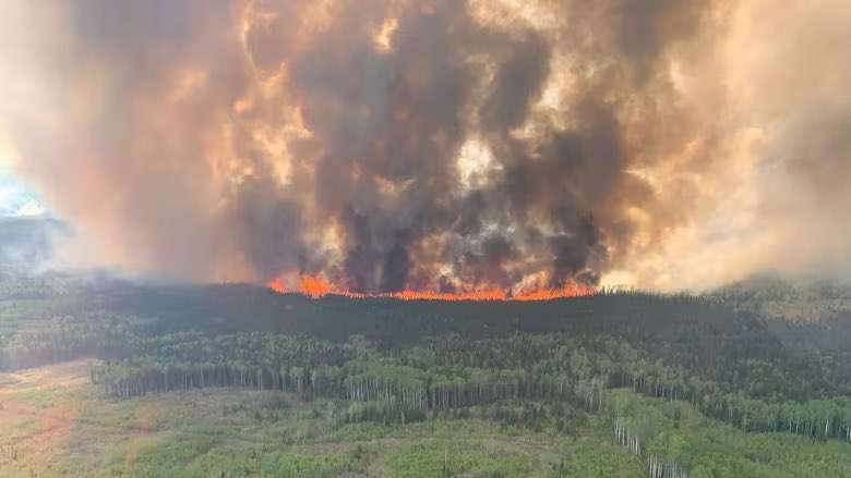 Pilot dies after helicopter involved in firefighting operations crashed in Alberta