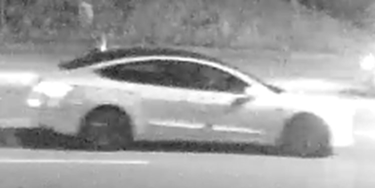 Surrey RCMP urges Tesla driver who may have witnessed fatal Hit & run to come forward